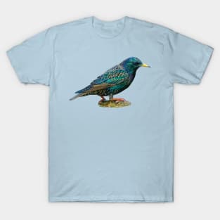 Starling T-Shirt